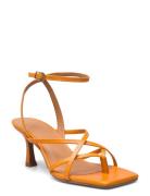 A2639 Orange Billi Bi