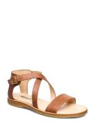 Sandals - Flat - Open Toe - Op Brown ANGULUS