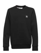 Crew Black Adidas Originals