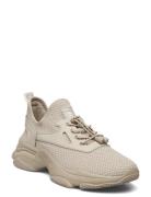 Match-E Sneaker Beige Steve Madden