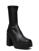 Low Phoenix Bootie Black Steve Madden