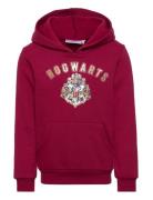 Sweat Kangourou Red Harry Potter