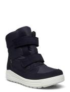 Urban Snowboarder Navy ECCO