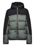 Hooded Jacket Green Champion