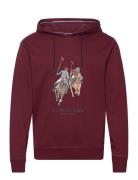 Uspa Hood Sweater Elaf Men Burgundy U.S. Polo Assn.