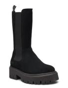 Biagarbi High Chelsea Boot Suede Warmline Black Bianco