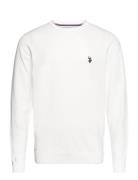 Uspa Knit Adair Men White U.S. Polo Assn.