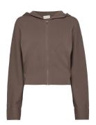 Esgran Ls Hoodie Knit F Brown Enkel Studio