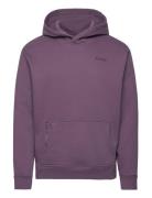 Hco. Guys Sweatshirts Purple Hollister