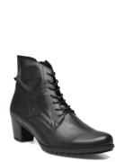 Laced Ankle Boot Black Gabor