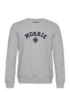 Smith Sweatshirt Grey Morris