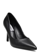 Classie Black Steve Madden