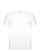 Basic Cotton V-Neck T-Shirt White Mango