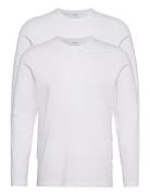 Emil 2-Pack Long Sleeve White Wood Wood