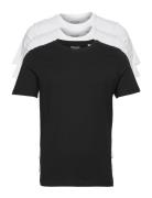 Jjeorganic Basic Tee Ss O-Ne 3Pk Mp Noos Black Jack & J S