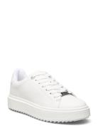 Catcher Sneaker White Steve Madden