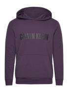 L/S Hoodie Purple Calvin Klein