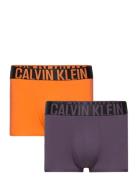 Trunk 2Pk Orange Calvin Klein