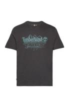 Short Sleeve Graphic Slub Tee Black Black Timberland