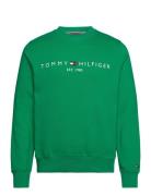 Tommy Logo Sweatshirt Green Tommy Hilfiger