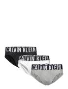 Hip Brief 3Pk Grey Calvin Klein