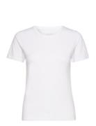 Women's O-Neck Tee White NORVIG