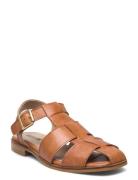 Sandals - Flat Brown ANGULUS