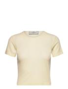 Rib Baby Tee Cream Les Coyotes De Paris