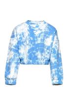 Sweatshirt Gwen Crewneck Blue Lindex