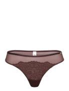 Brief Thong Chloe Reg Brown Lindex