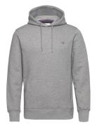 Reg Shield Hoodie Grey GANT