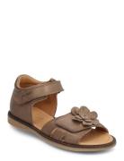 Flower Velcro Sandal Beige Pom Pom