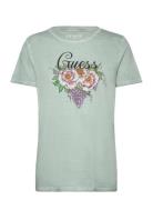 Ss Grape Vine Logo Easy Tee Green GUESS Jeans