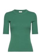 Dagnaiw T-Shirt Green InWear