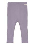 Leggings Pointelle Purple Fixoni