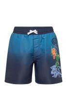 Lwarve 311 - Swim Shorts Blue LEGO Kidswear