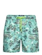 Paradise Swim Shorts Blue Sebago