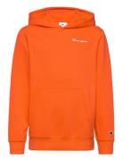 Hooded Sweatshirt Orange Champion