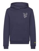 3D Eagle Graphic Hoodie Navy Lyle & Scott