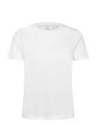 Short-Sleeved Cotton T-Shirt White Mango