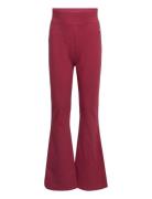 Jazz Pants Burgundy Champion