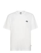 Summerdale Ss Tee White Dickies