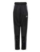 Tiro24 Winpty Black Adidas Performance