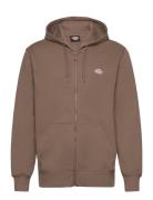 Summerdale Zip Through Brown Dickies