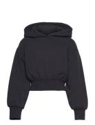 Cropped Hoody Black Tom Tailor