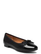 Ballerina Black Billi Bi