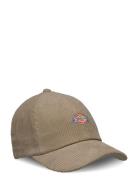 Hardwick Corduroy Cap Beige Dickies