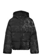 Puffer Jacket Black Tom Tailor