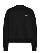 Summerdale Sweatshirt W Black Dickies