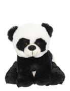 Dreamies- Panda, Small Black Teddykompaniet